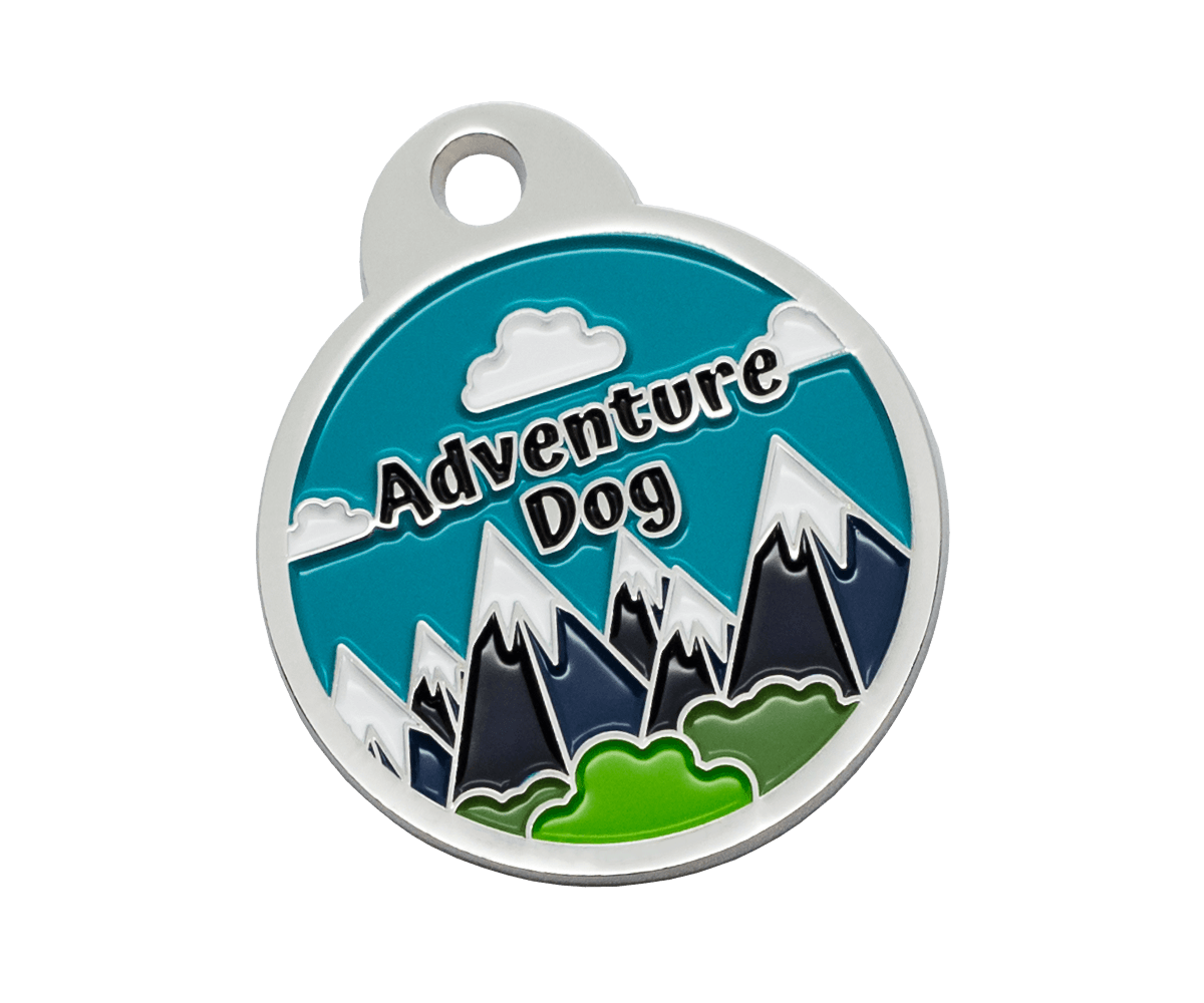 Adventure Dog